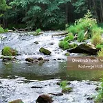 Wutzschleife 4*